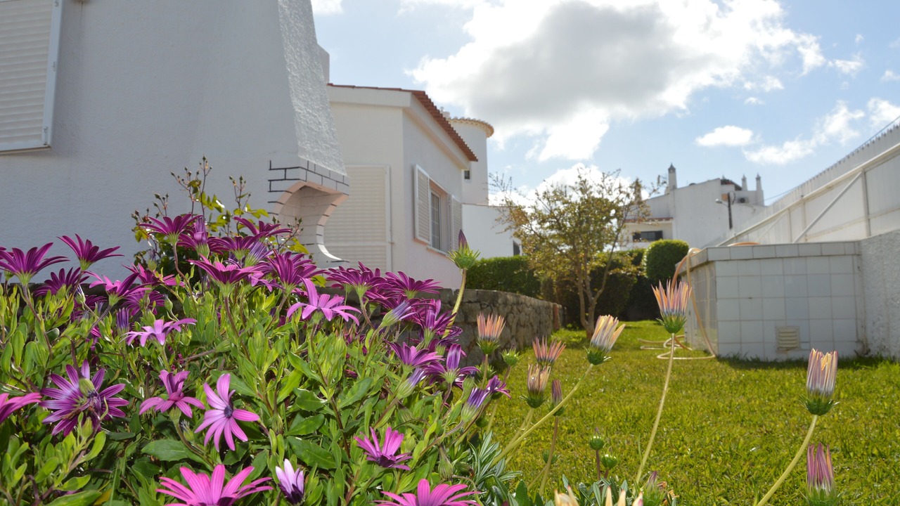 Photo of Outdoor in Mato Serrao