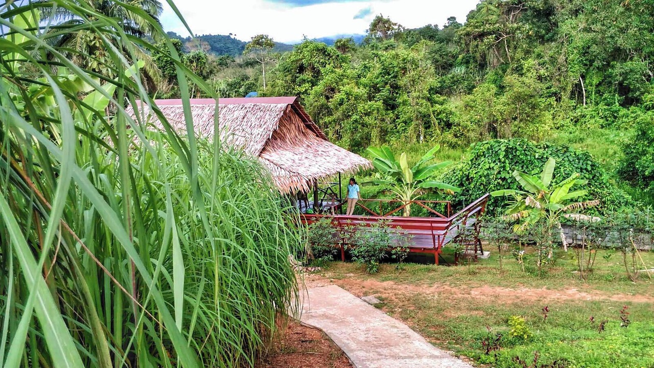 Photo of Outdoor in Khuekkhak