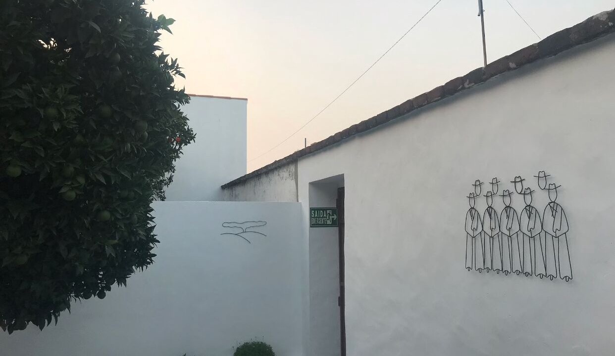 Photo of Outdoor in Vidigueira
