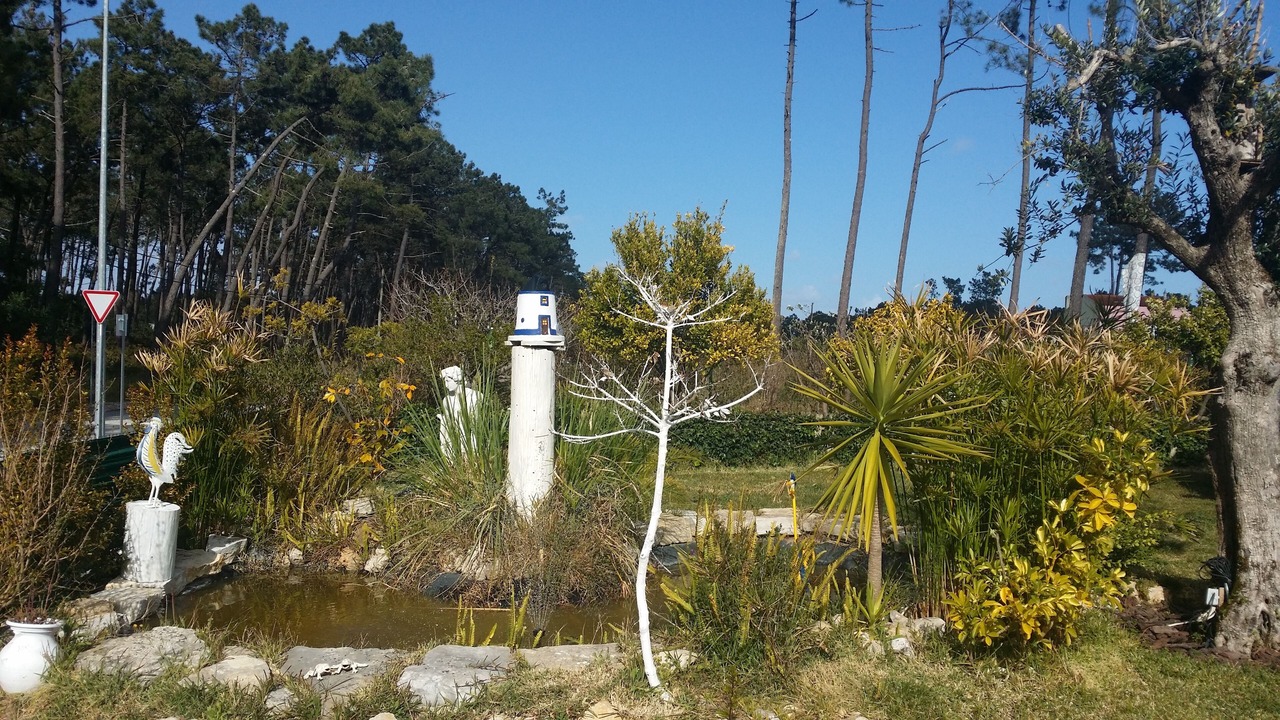 Photo of Outdoor in Lagoa de Albufeira
