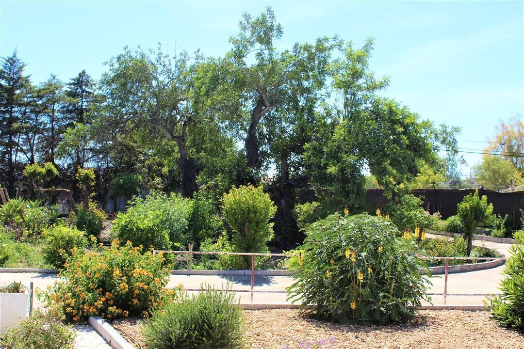 Photo of Outdoor in Olhao