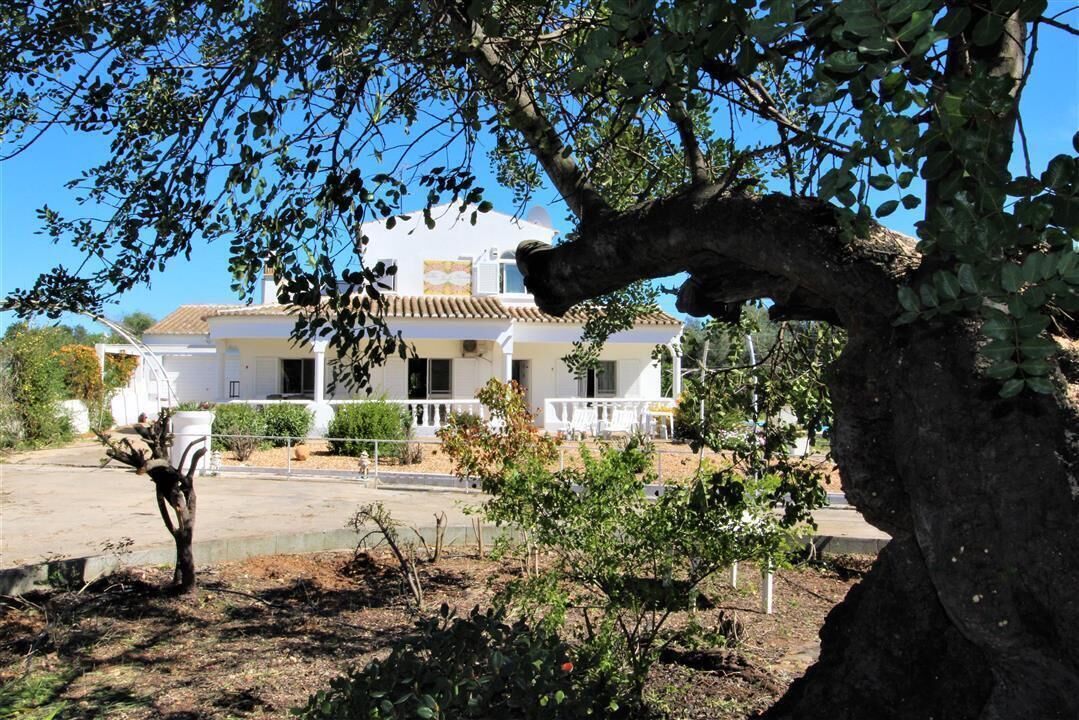 Photo of Outdoor in Olhao
