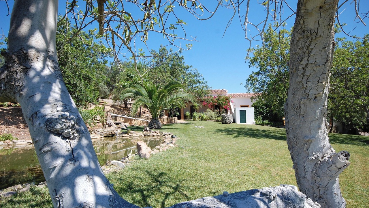 Photo of Outdoor in Fonte do Bispo