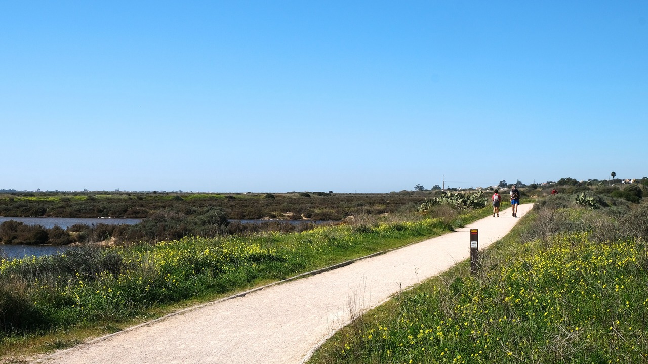 Photo of Outdoor in Olhao