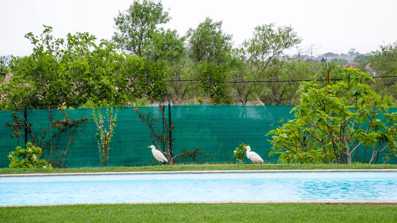 Photo of Outdoor in Olhao