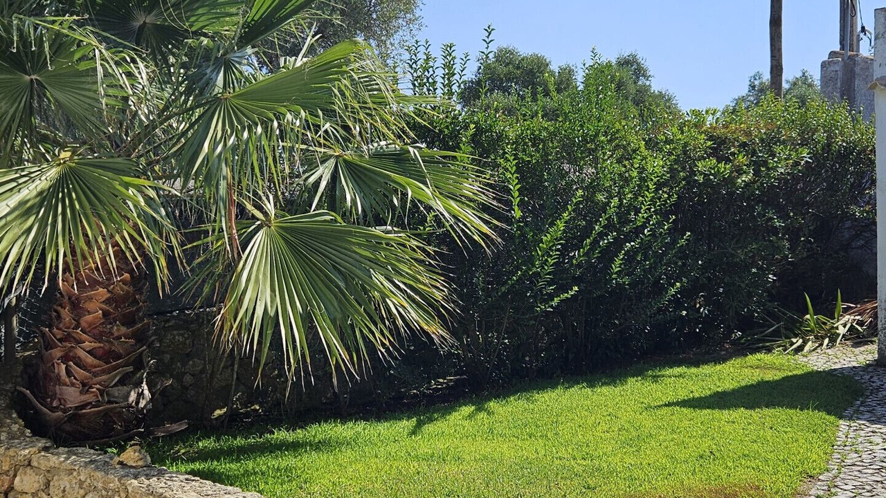 Photo of Outdoor in Aldeia de Irmaos