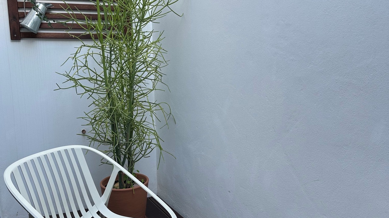 Photo of Patio Balcony in Sao Clemente