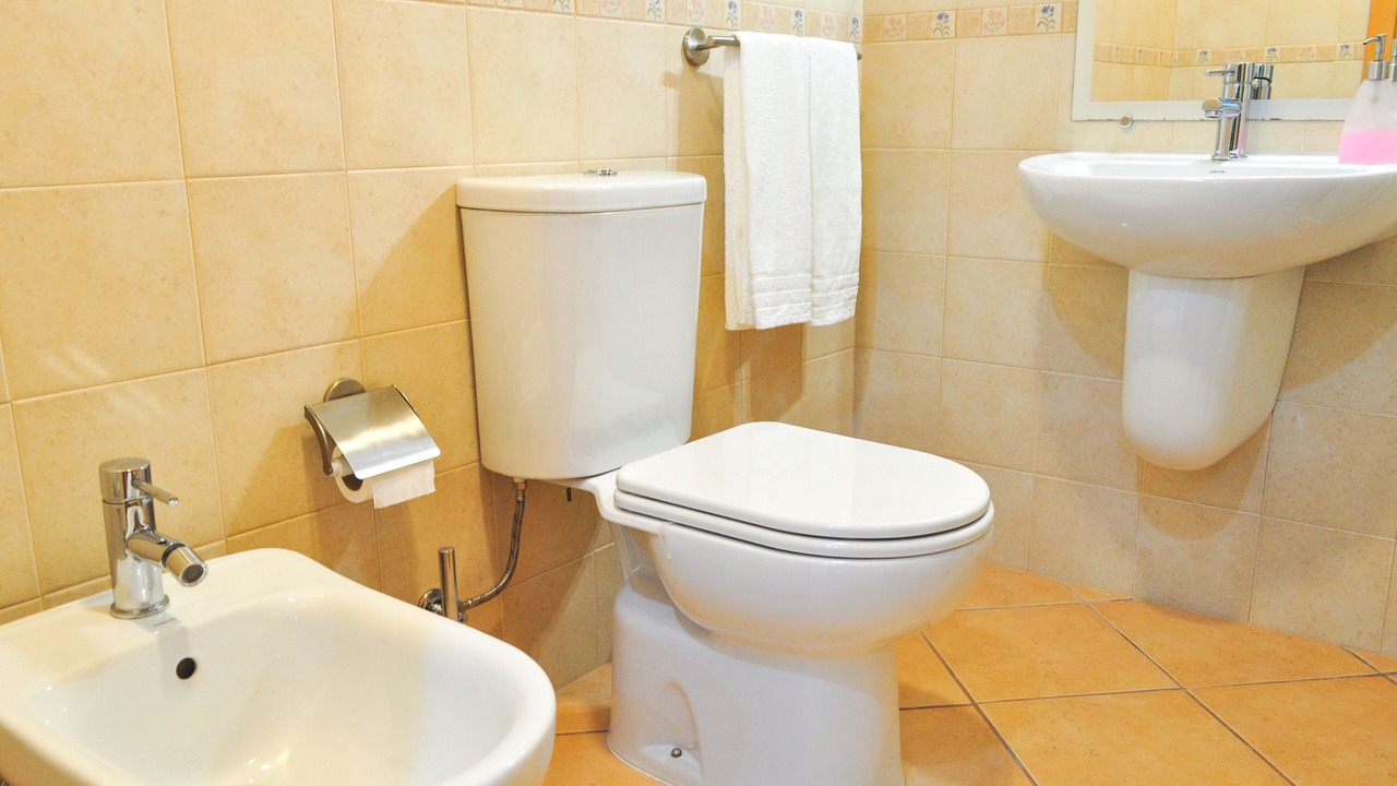 Photo of Bathroom in Grandola