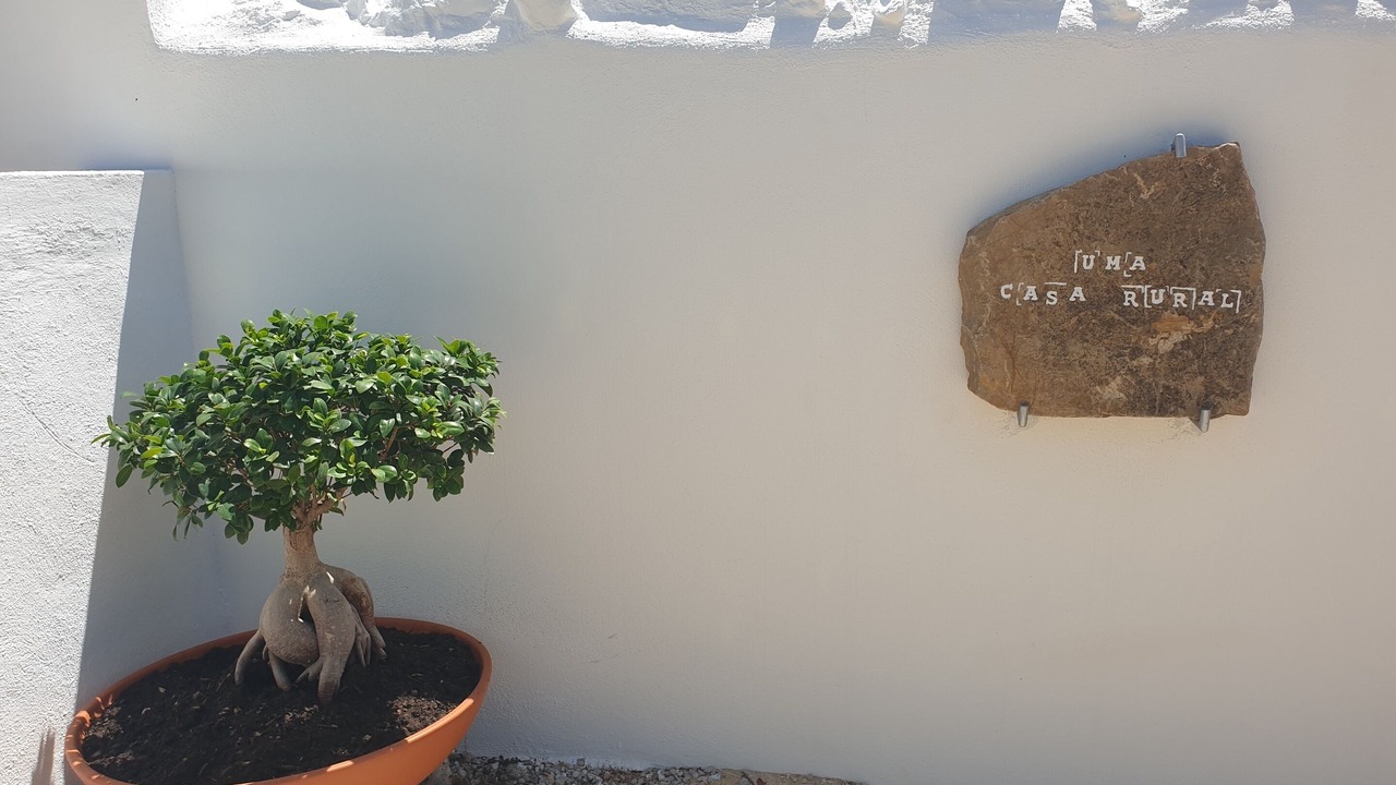 Photo of Outdoor in Charneca