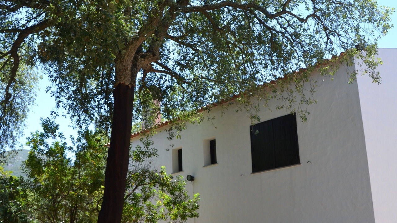 Photo of Outdoor in Vila Nogueira de Azeitao