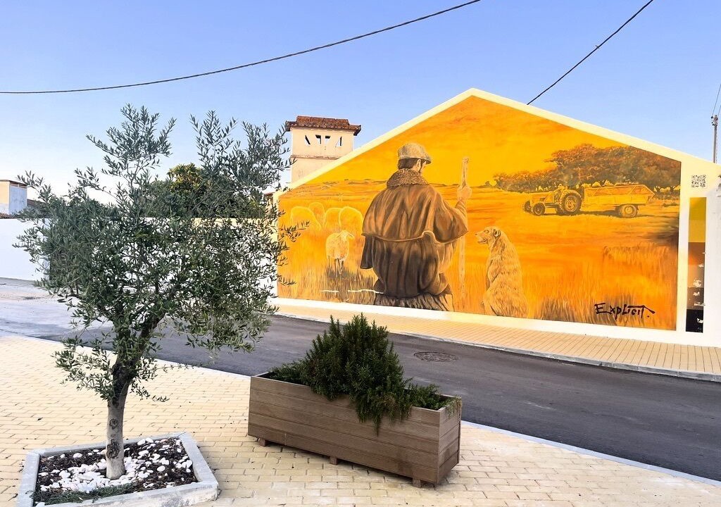 Photo of Others in Sao Martinho