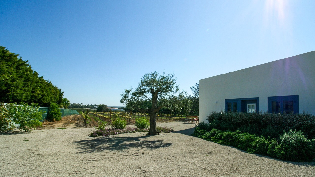 Photo of Outdoor in Luz de Tavira