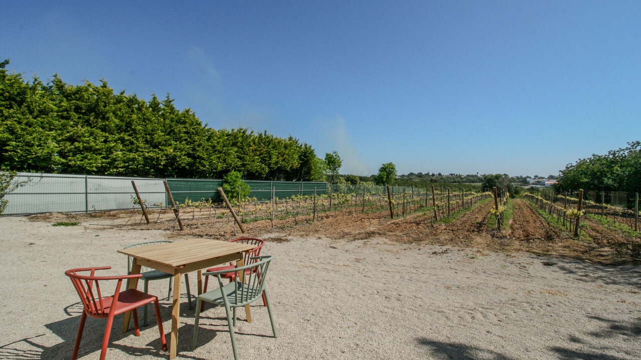 Photo of Outdoor in Luz de Tavira