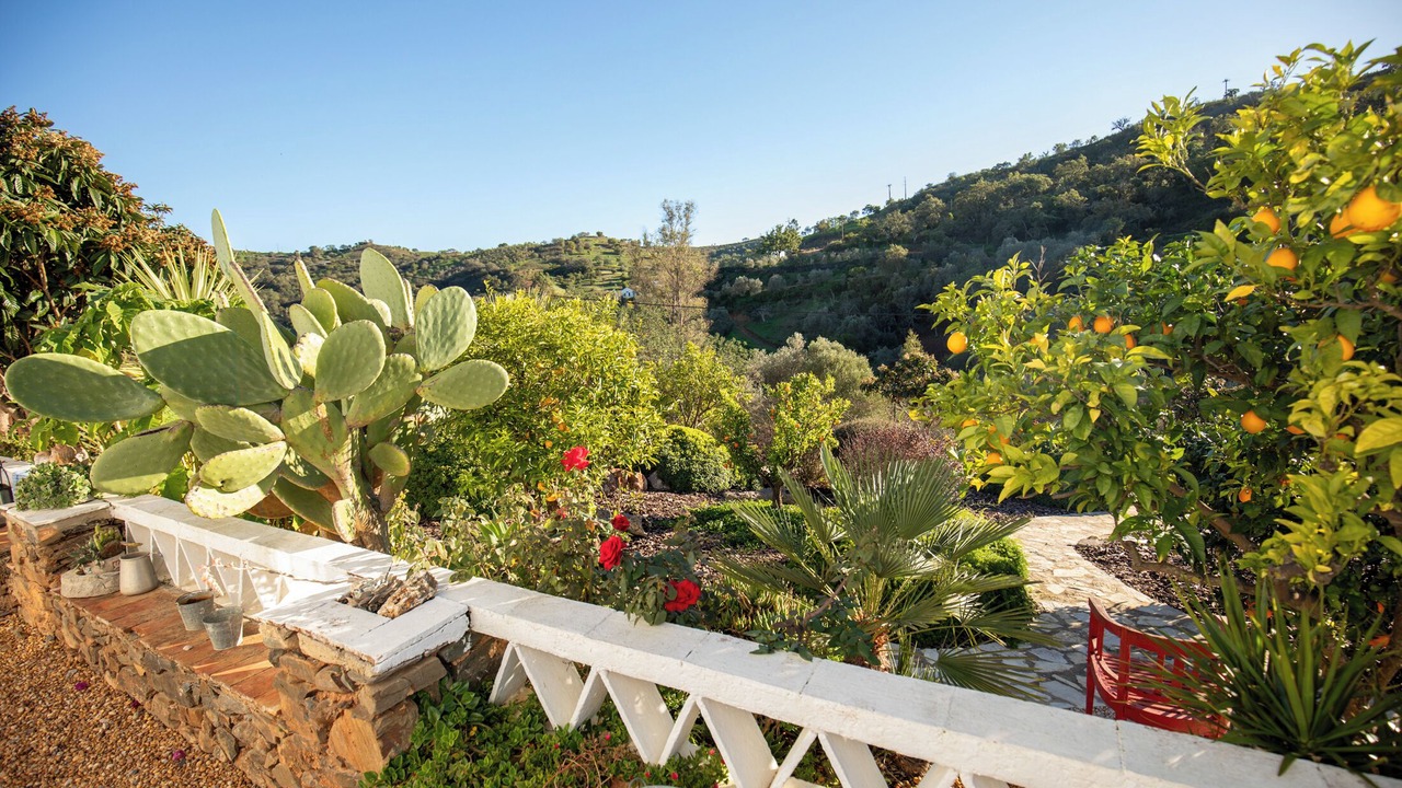 Photo of Outdoor in Fonte do Bispo