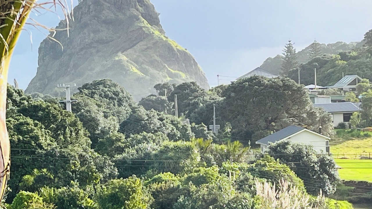 Photo of Others in Piha