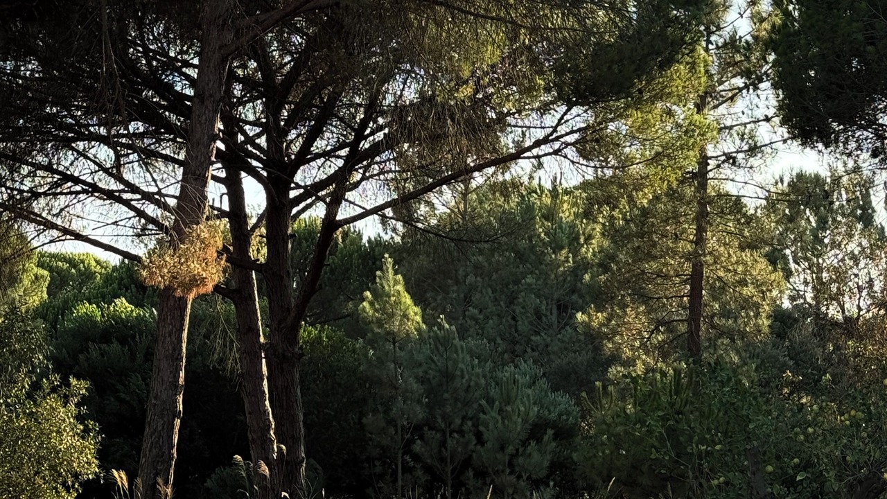 Photo of Outdoor in Grandola