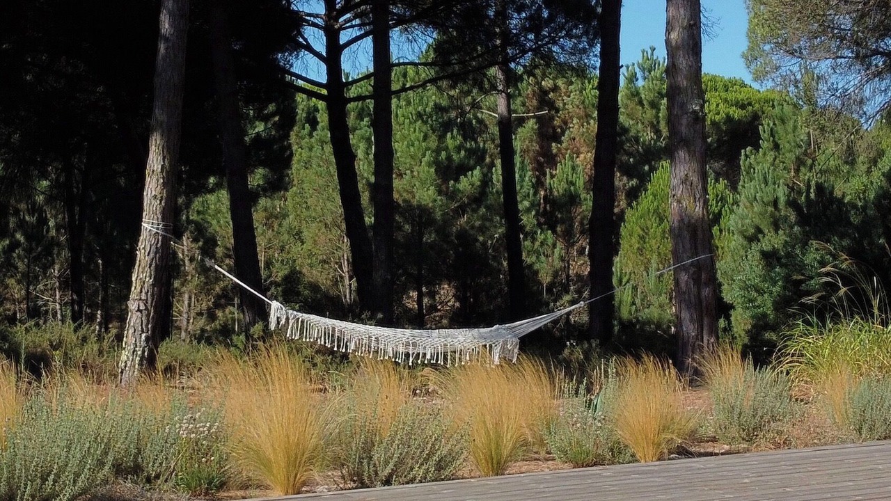 Photo of Outdoor in Grandola