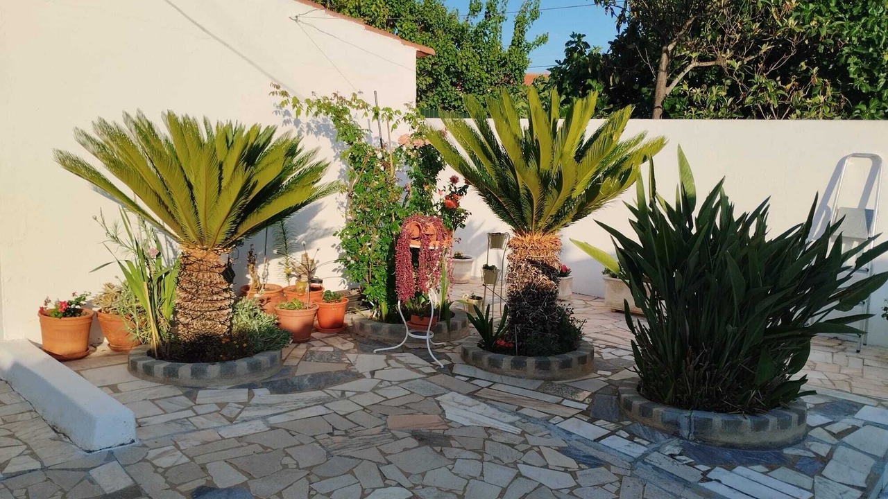 Photo of Outdoor in Bernarda