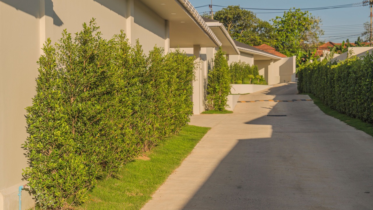 Photo of Outdoor in Moo 5