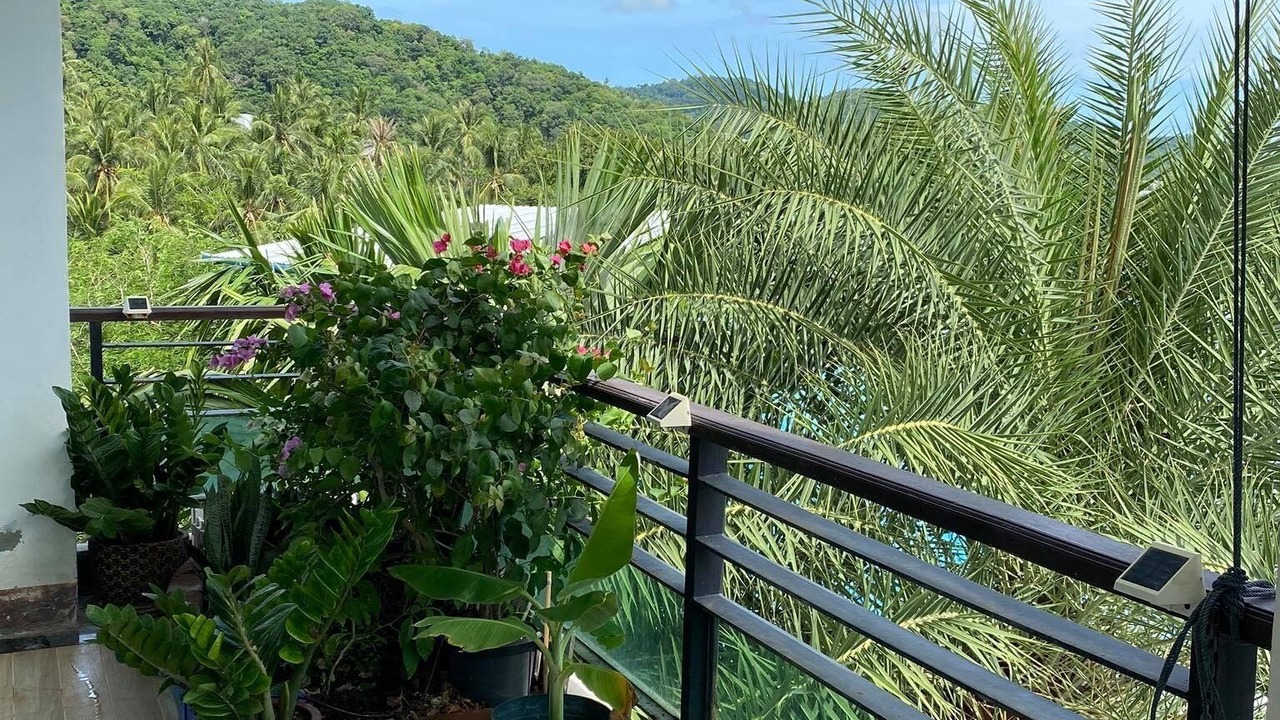 Photo of Outdoor in Karon