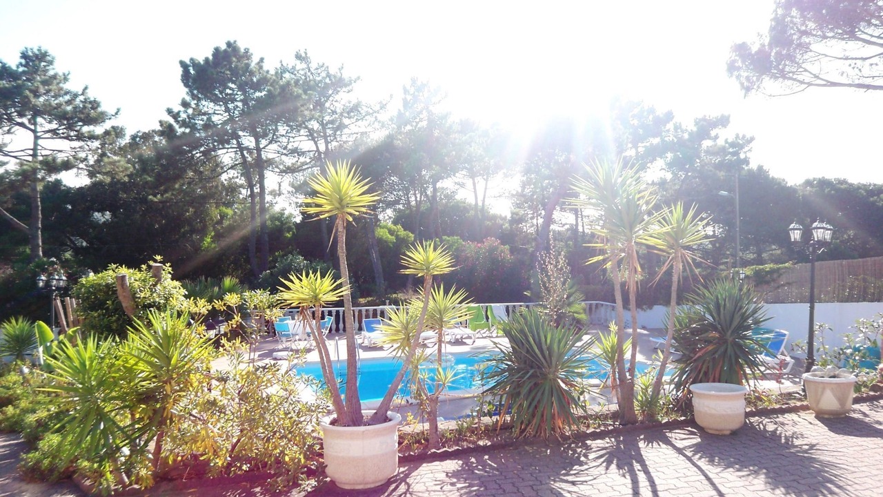 Photo of Outdoor in Colares