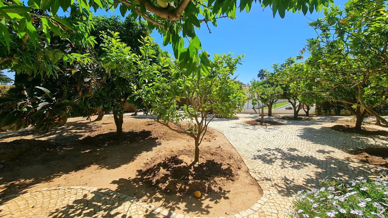 Photo of Others in Alfarrobeira