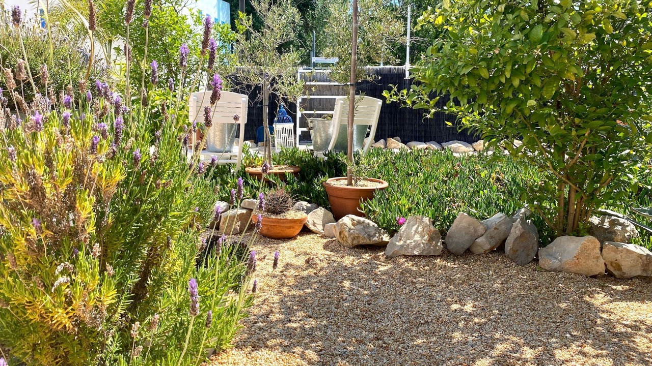 Photo of Outdoor in Aldeia