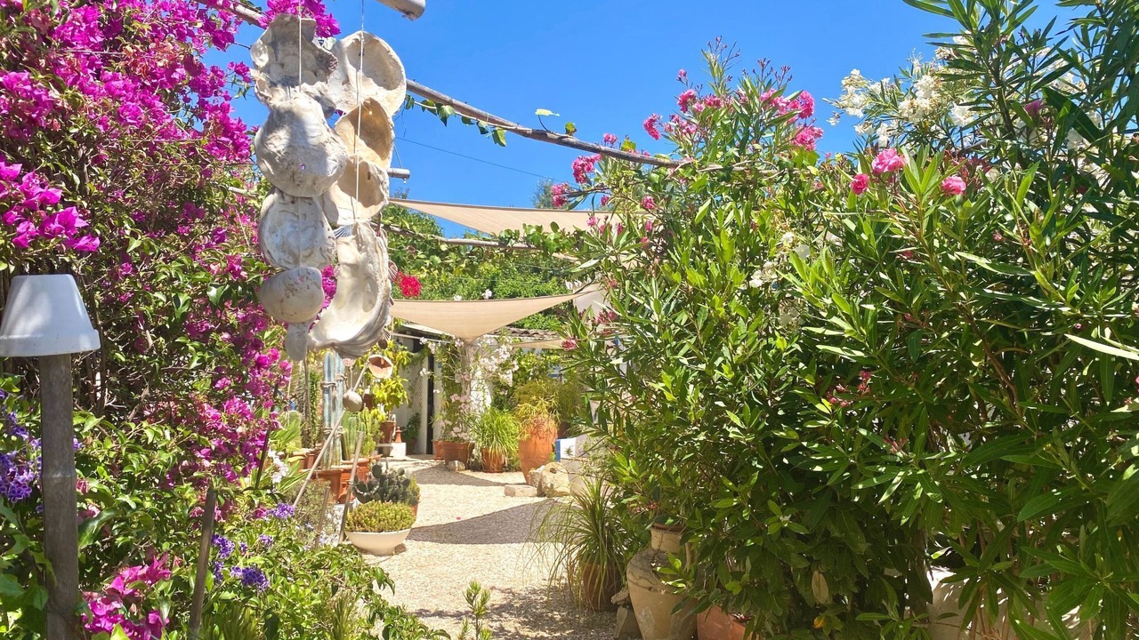 Photo of Others in Aldeia
