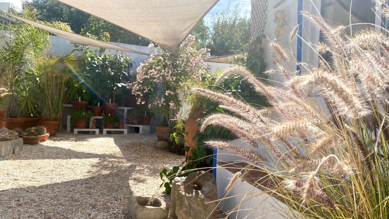 Photo of Others in Aldeia