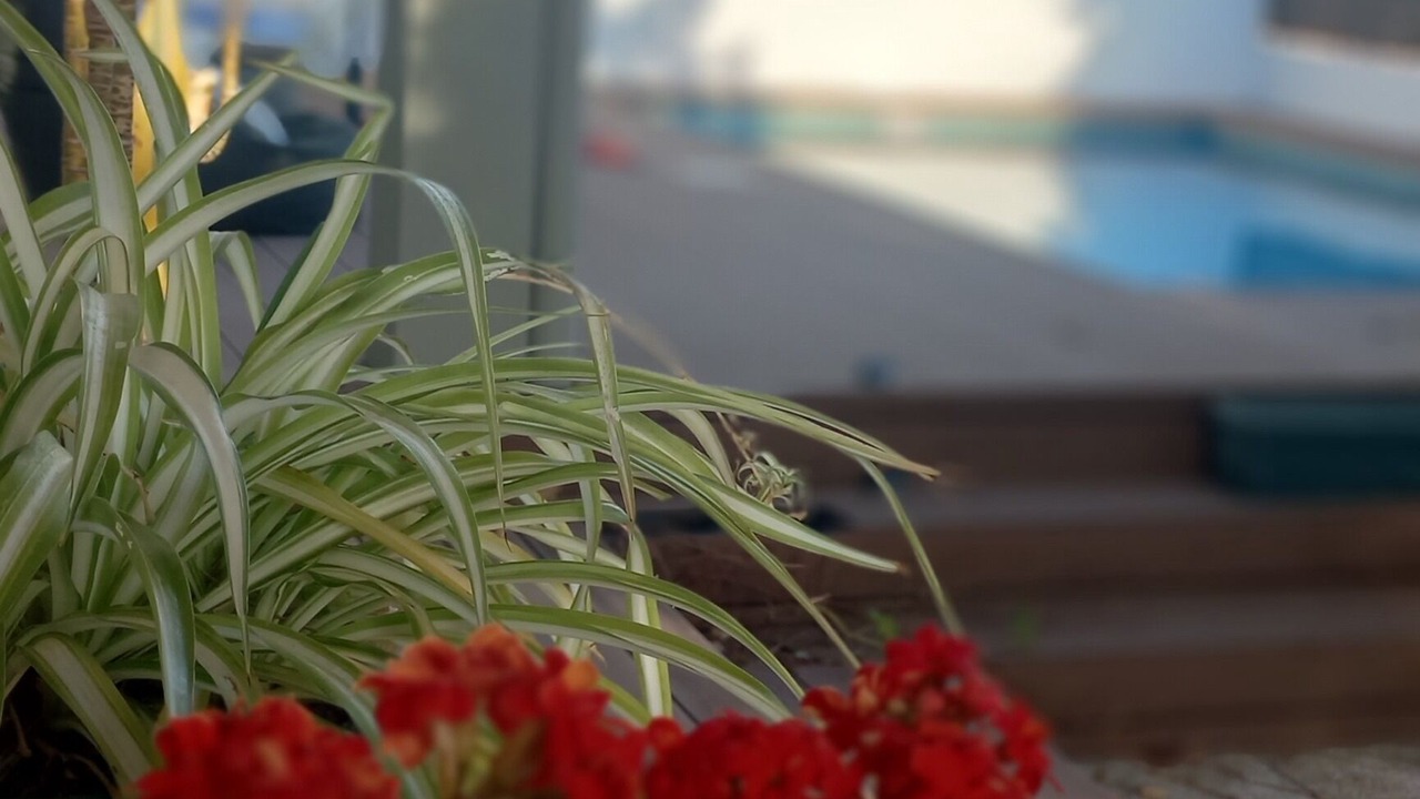 Photo of Outdoor in Faro