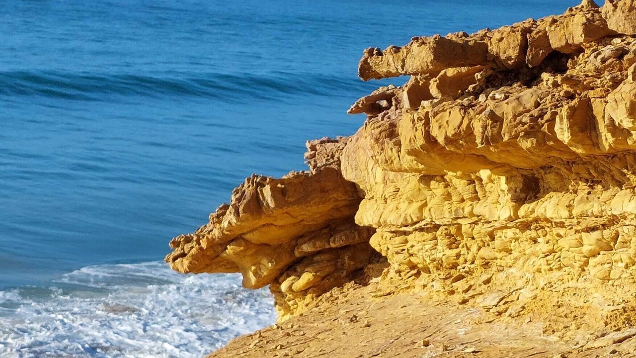 Photo of Others in Salema