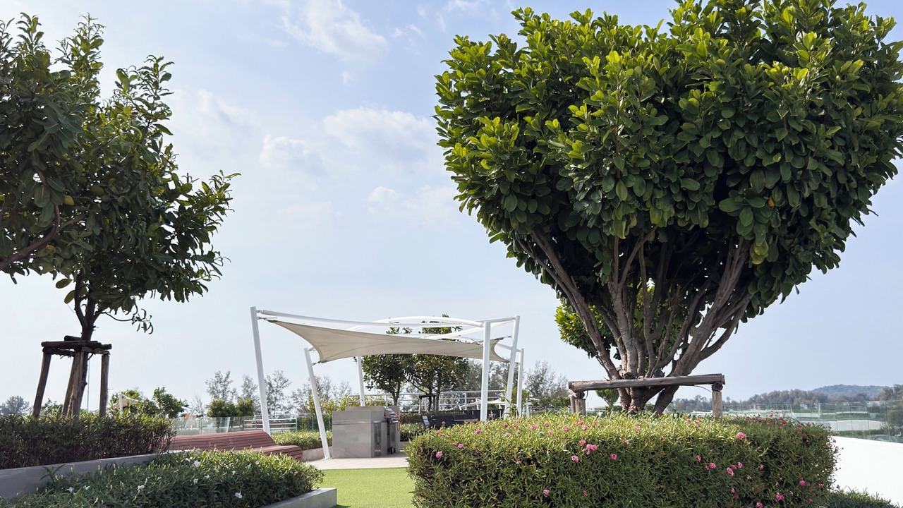 Photo of Outdoor in Laguna