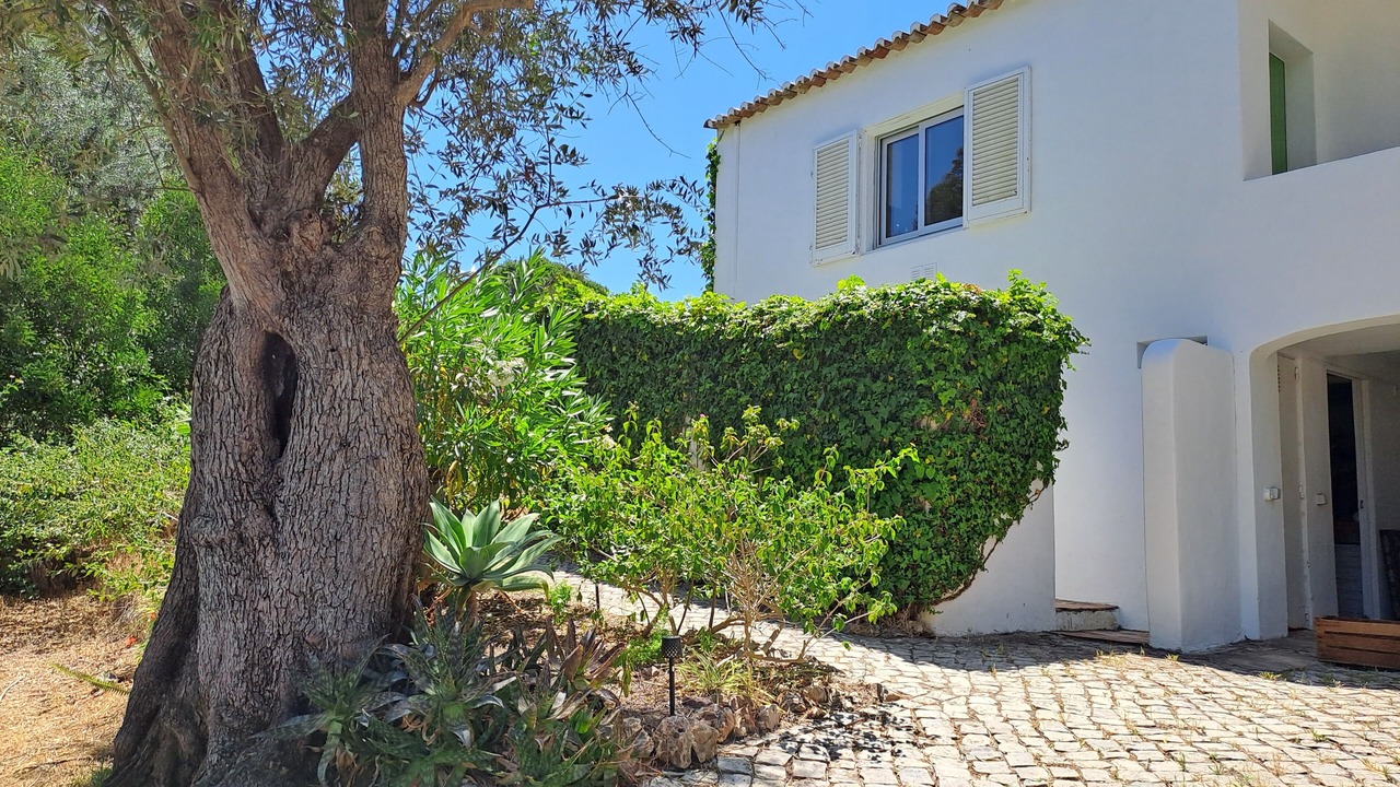 Photo of Outdoor in Branqueira