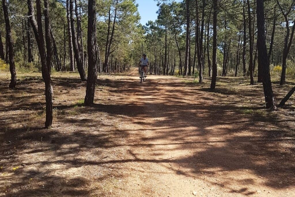 Photo of Others in Retur