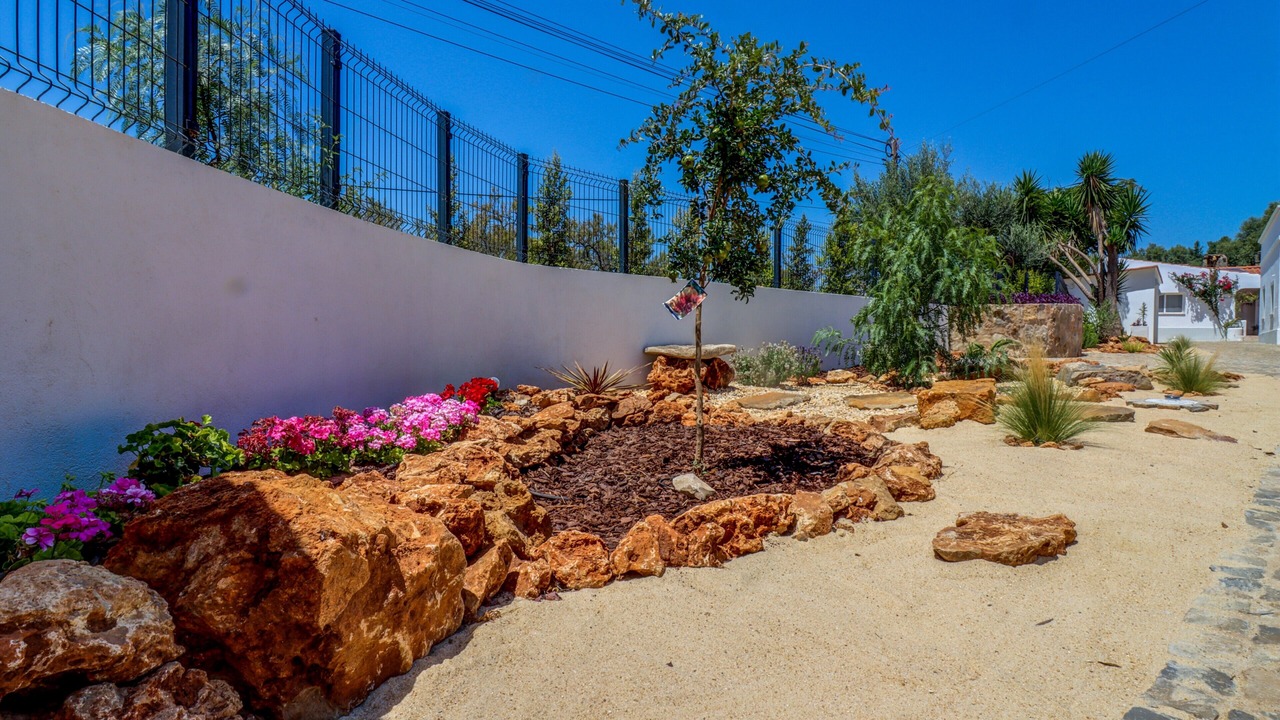 Photo of Outdoor in Calicos