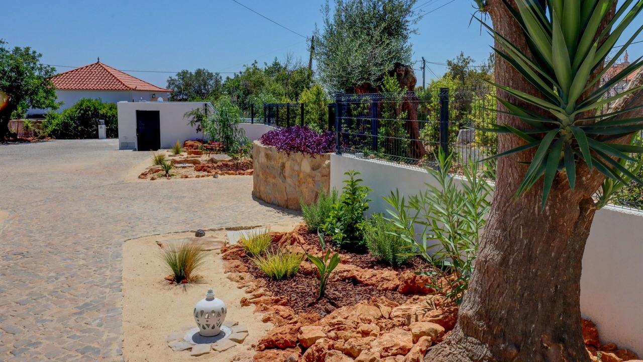 Photo of Outdoor in Calicos