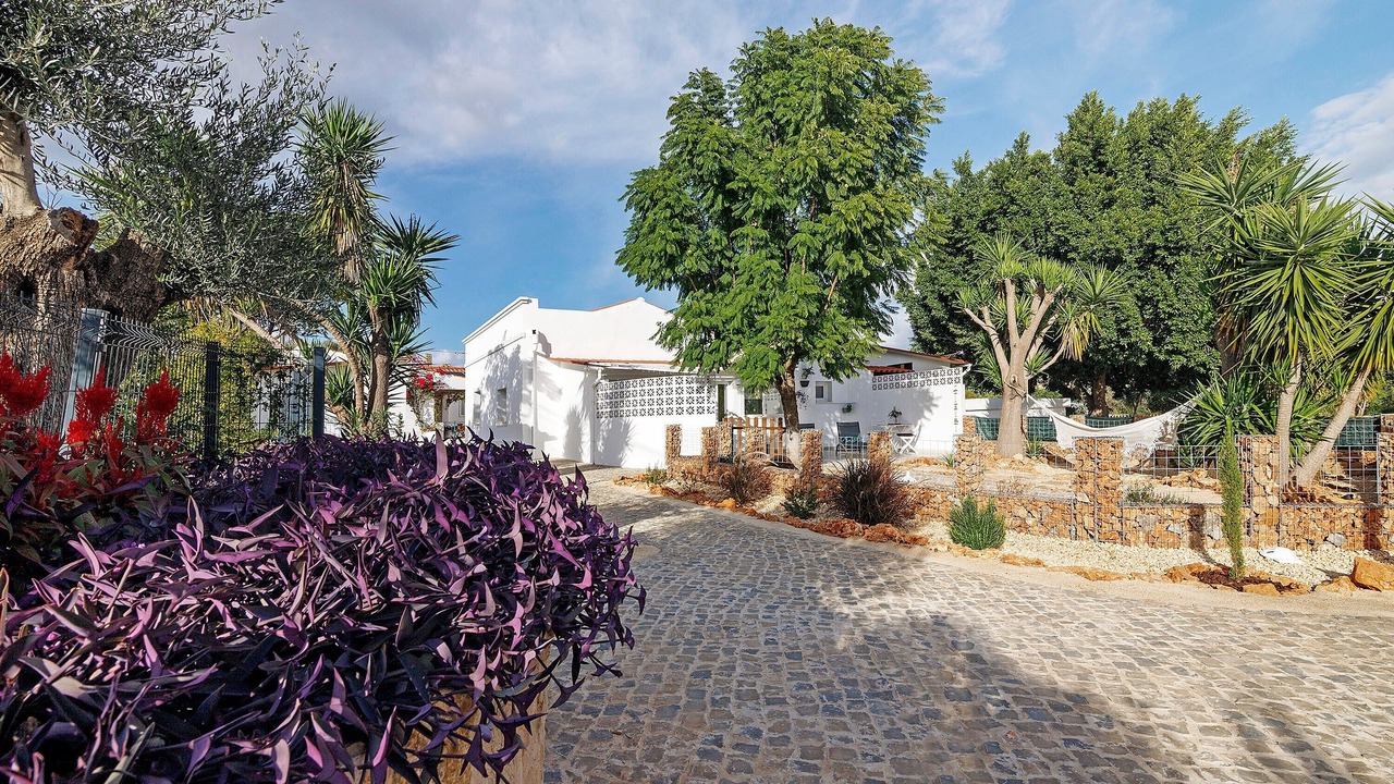 Photo of Outdoor in Calicos