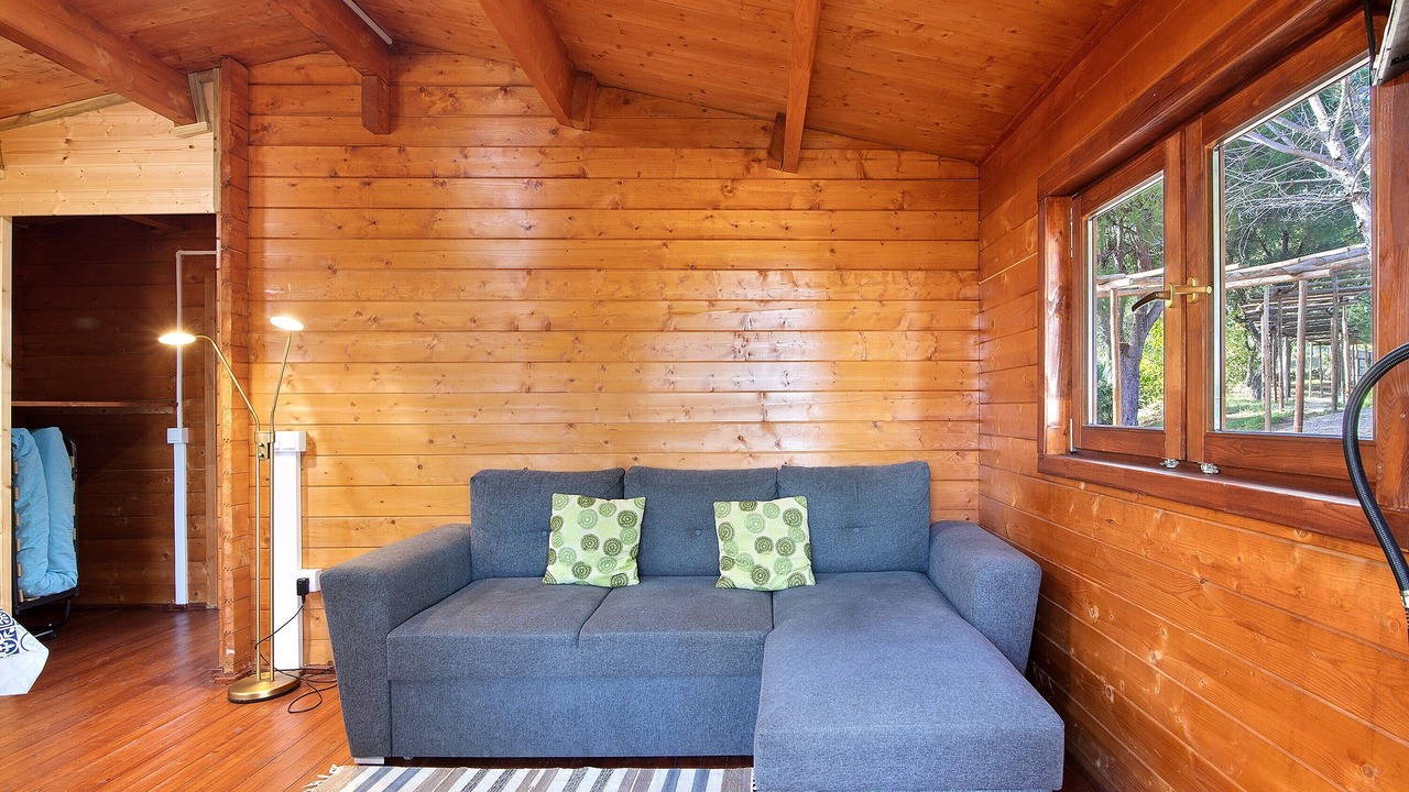 Photo of Livingroom in Pedra Arrancada