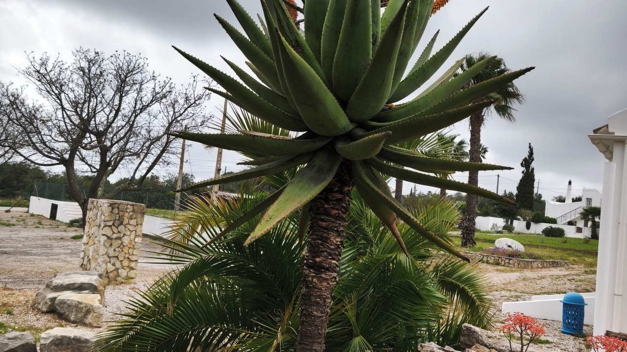 Photo of Outdoor in Colmeal