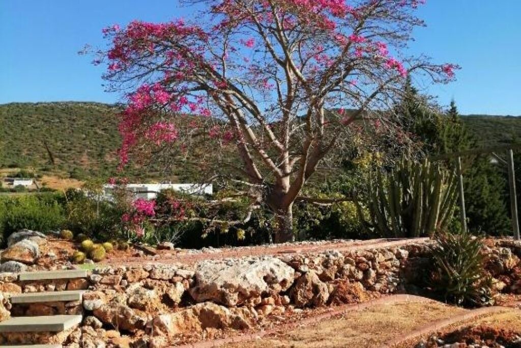 Photo of Others in Colmeal