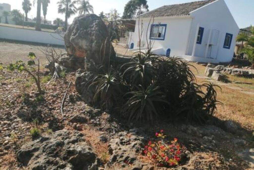 Photo of Outdoor in Colmeal