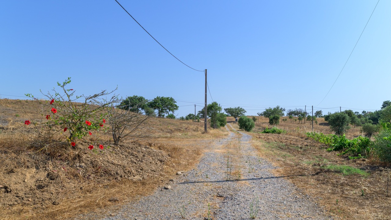 Photo of Others in Sao Francisco da Serra