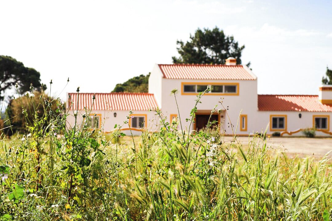 Photo of Outdoor in Melides