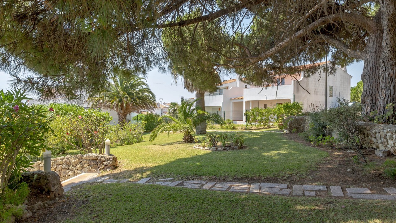 Photo of Outdoor in Patio