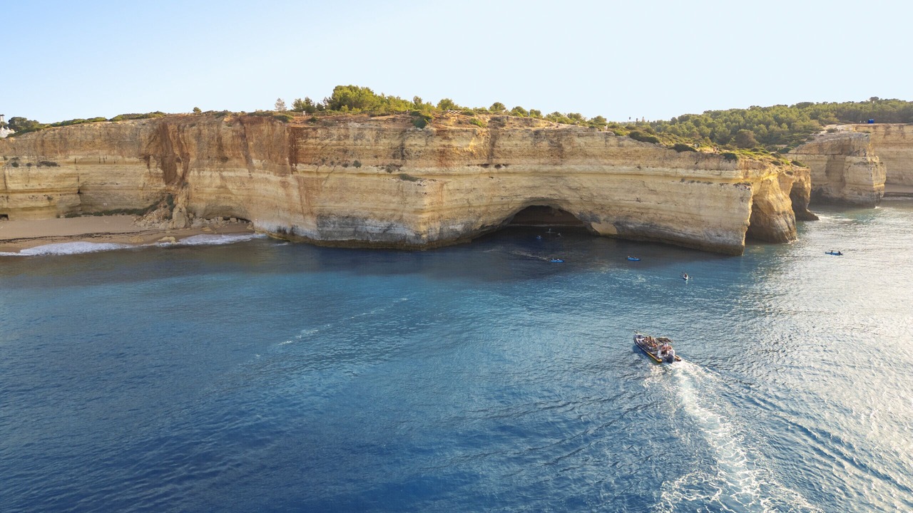 Photo of Others in Lagoa e Carvoeiro