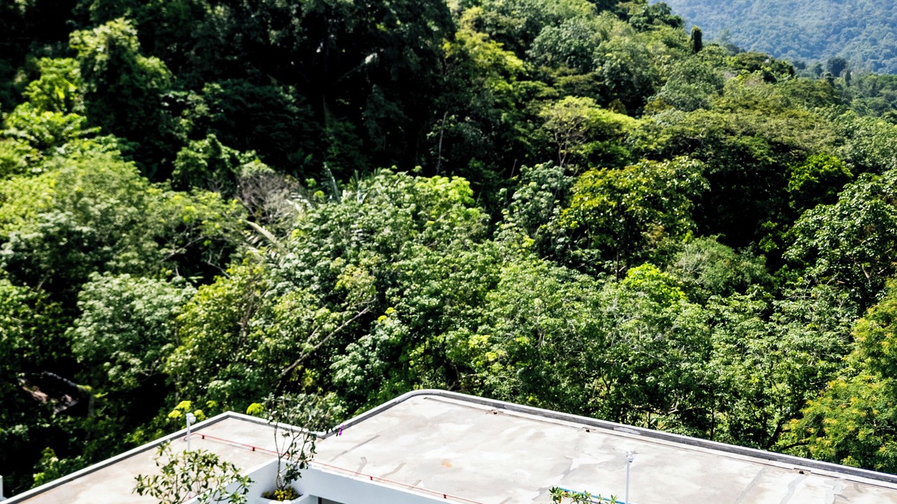 Photo of Outdoor in Kamala