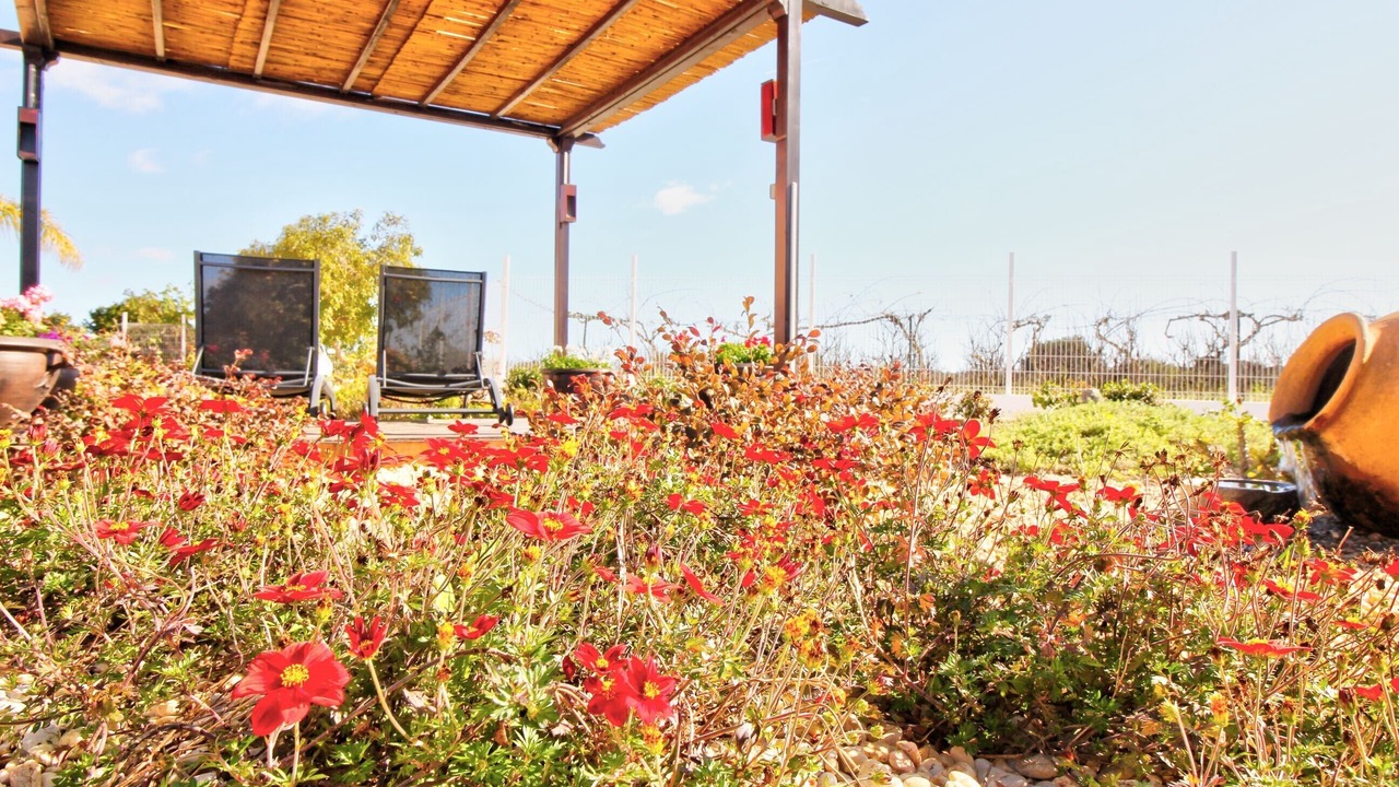 Photo of Outdoor in Fonte do Bispo