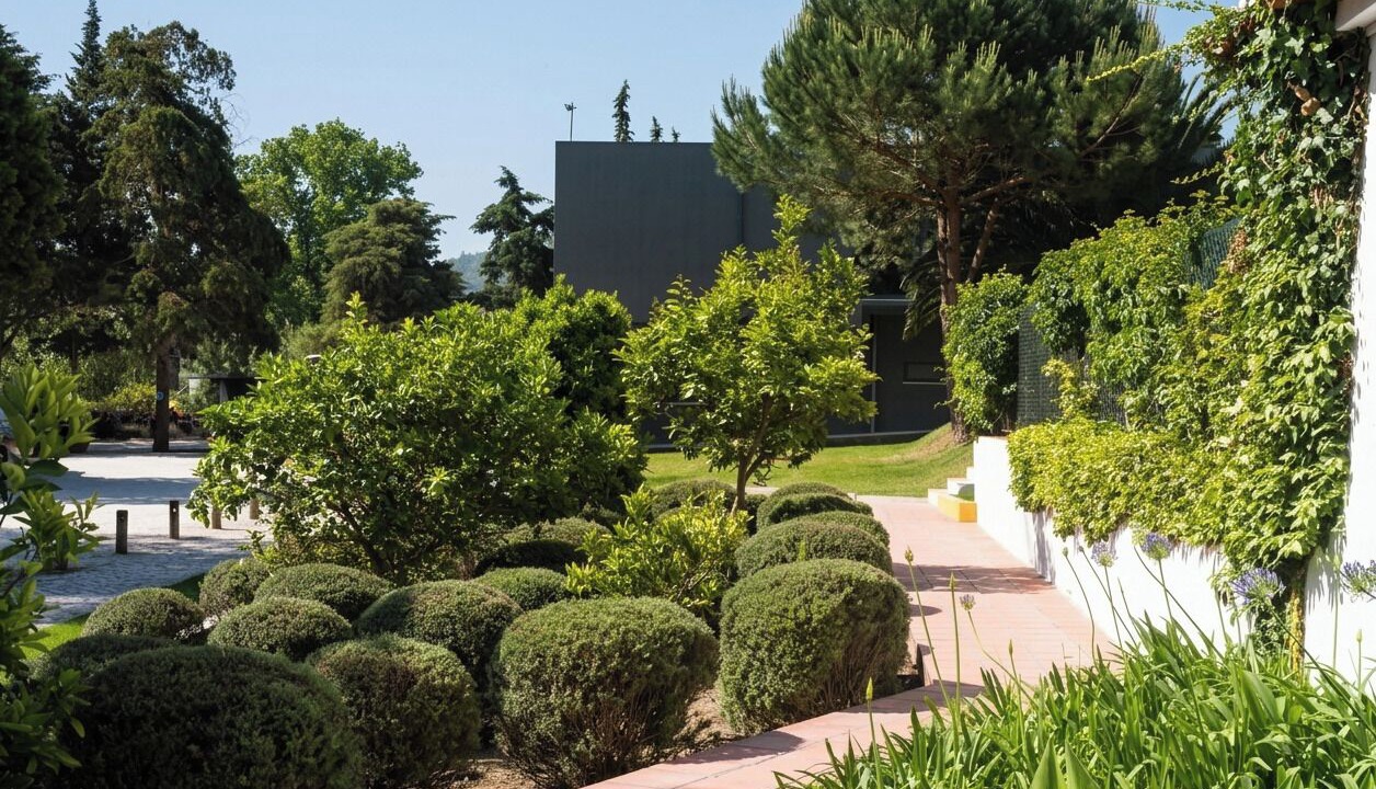 Photo of Outdoor in Mafra
