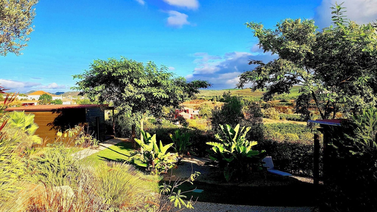 Photo of Outdoor in Silves