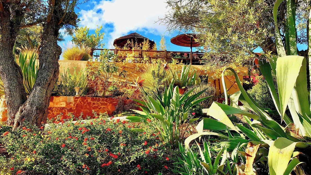 Photo of Outdoor in Silves